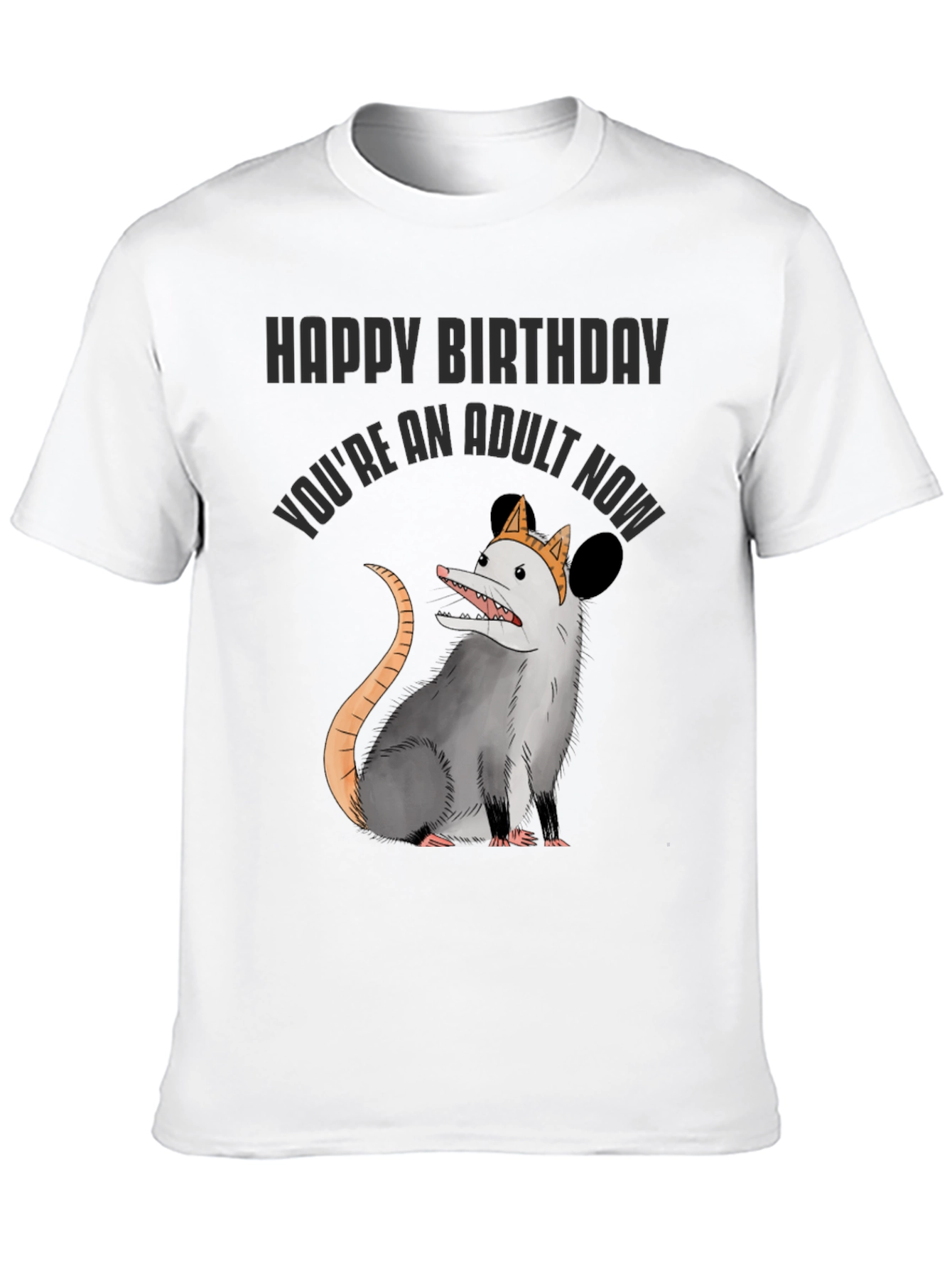 Funny Adult Birthday Opossum T-Shirt