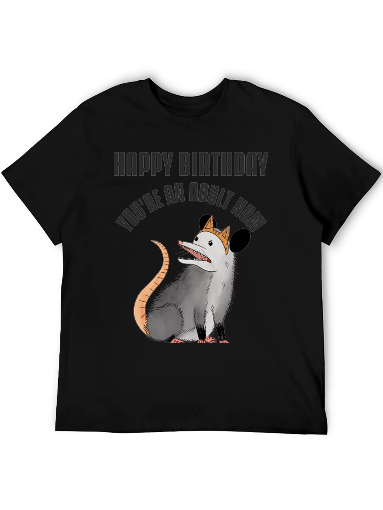 Funny Adult Birthday Opossum T-Shirt