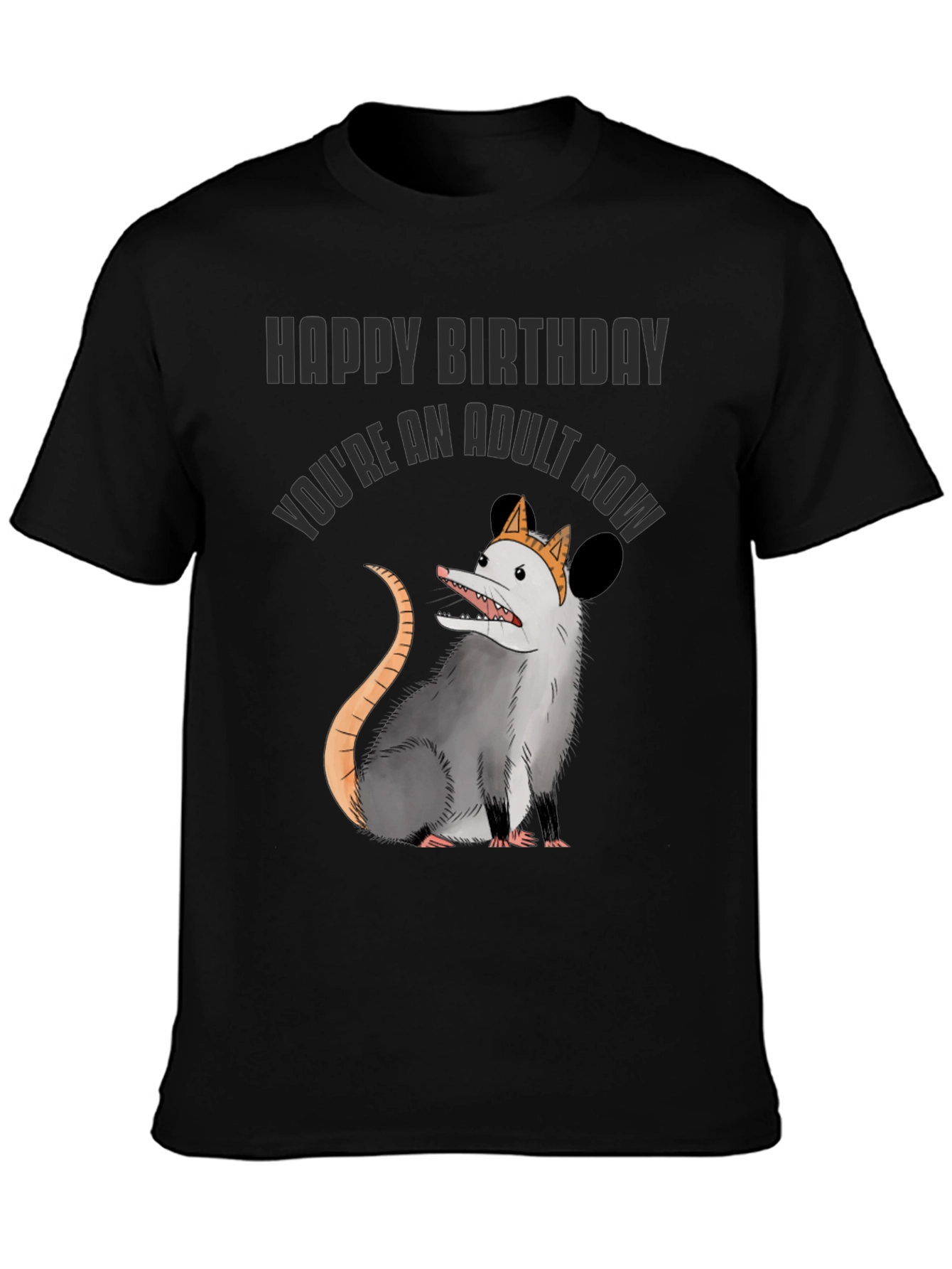 Funny Adult Birthday Opossum T-Shirt