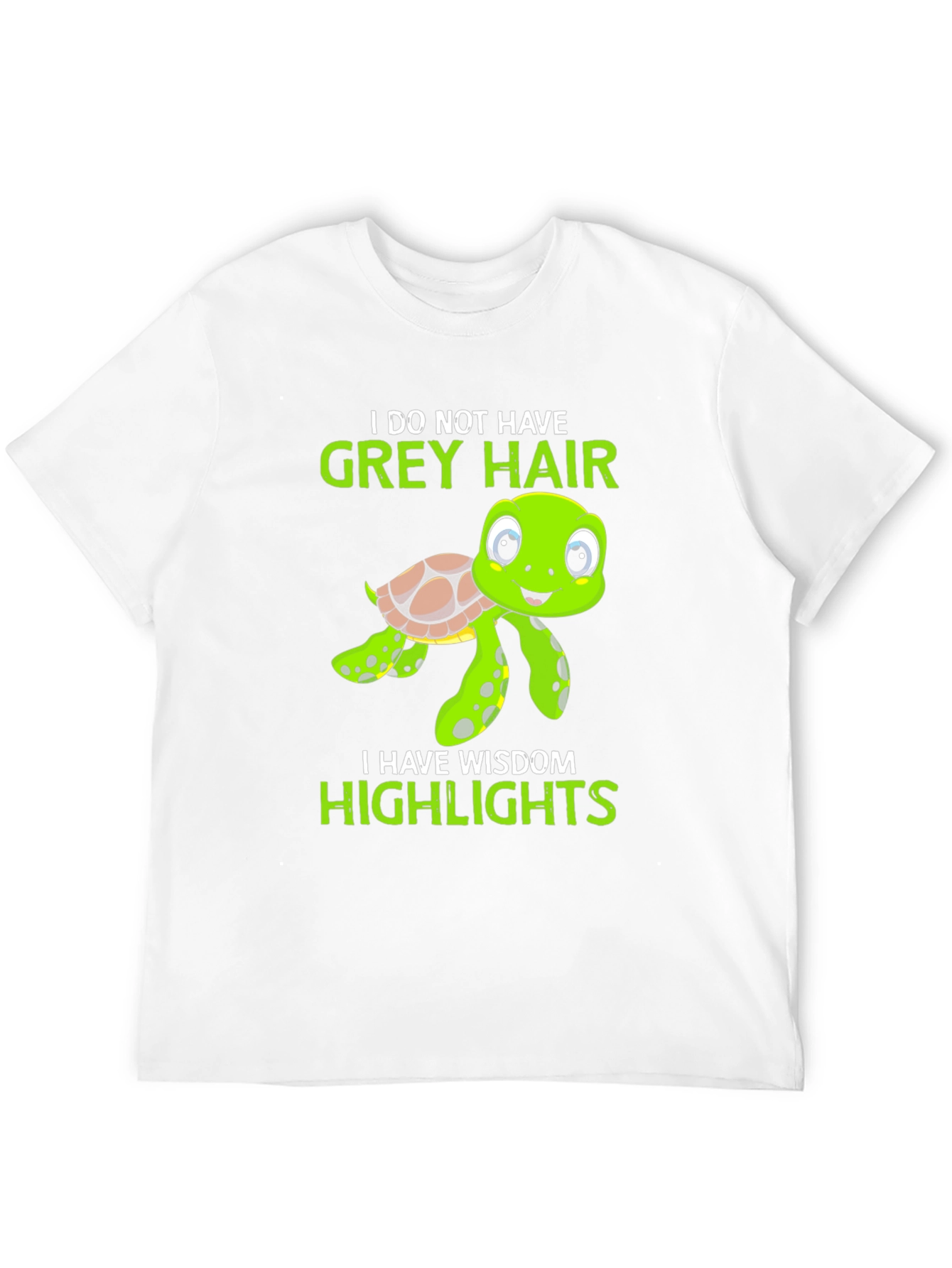 Wisdom Highlights Turtle Graphic Tee