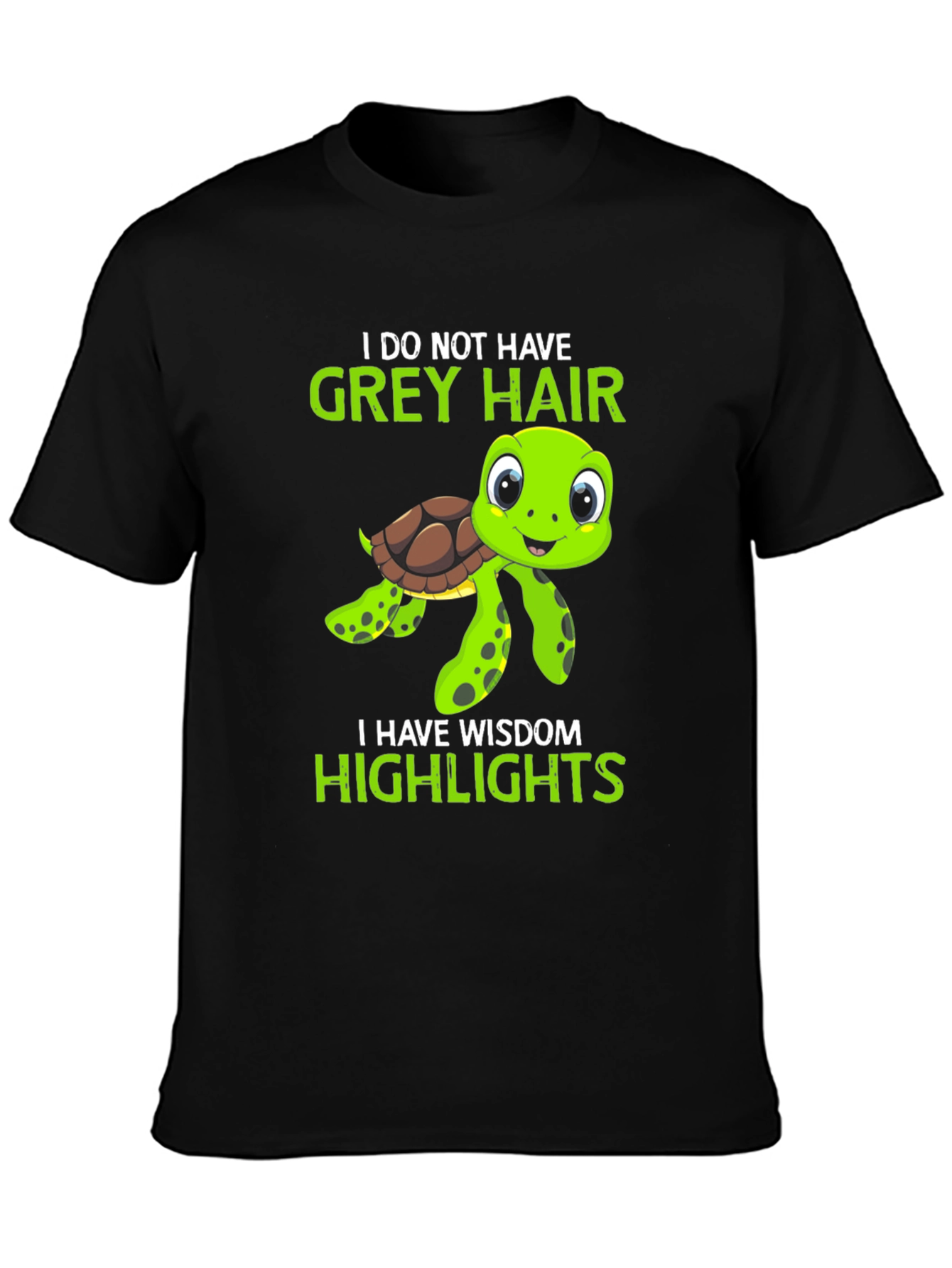 Wisdom Highlights Turtle Graphic Tee