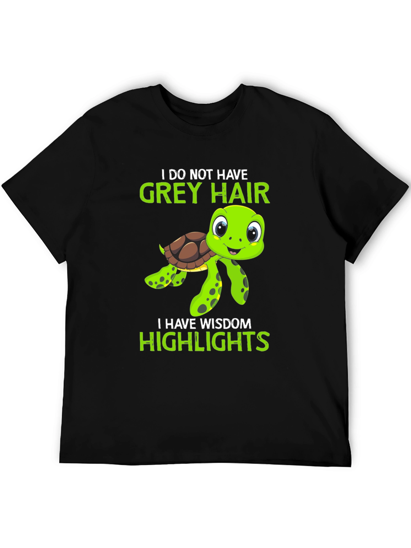 Wisdom Highlights Turtle Graphic Tee