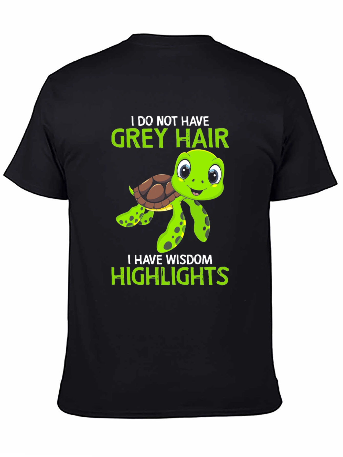 Wisdom Highlights Turtle Graphic Tee